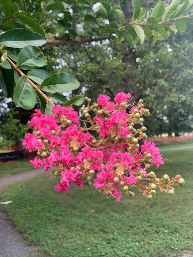 Park «Harford Glen Park», reviews and photos, 502 W Wheel Rd, Bel Air, MD 21015, USA