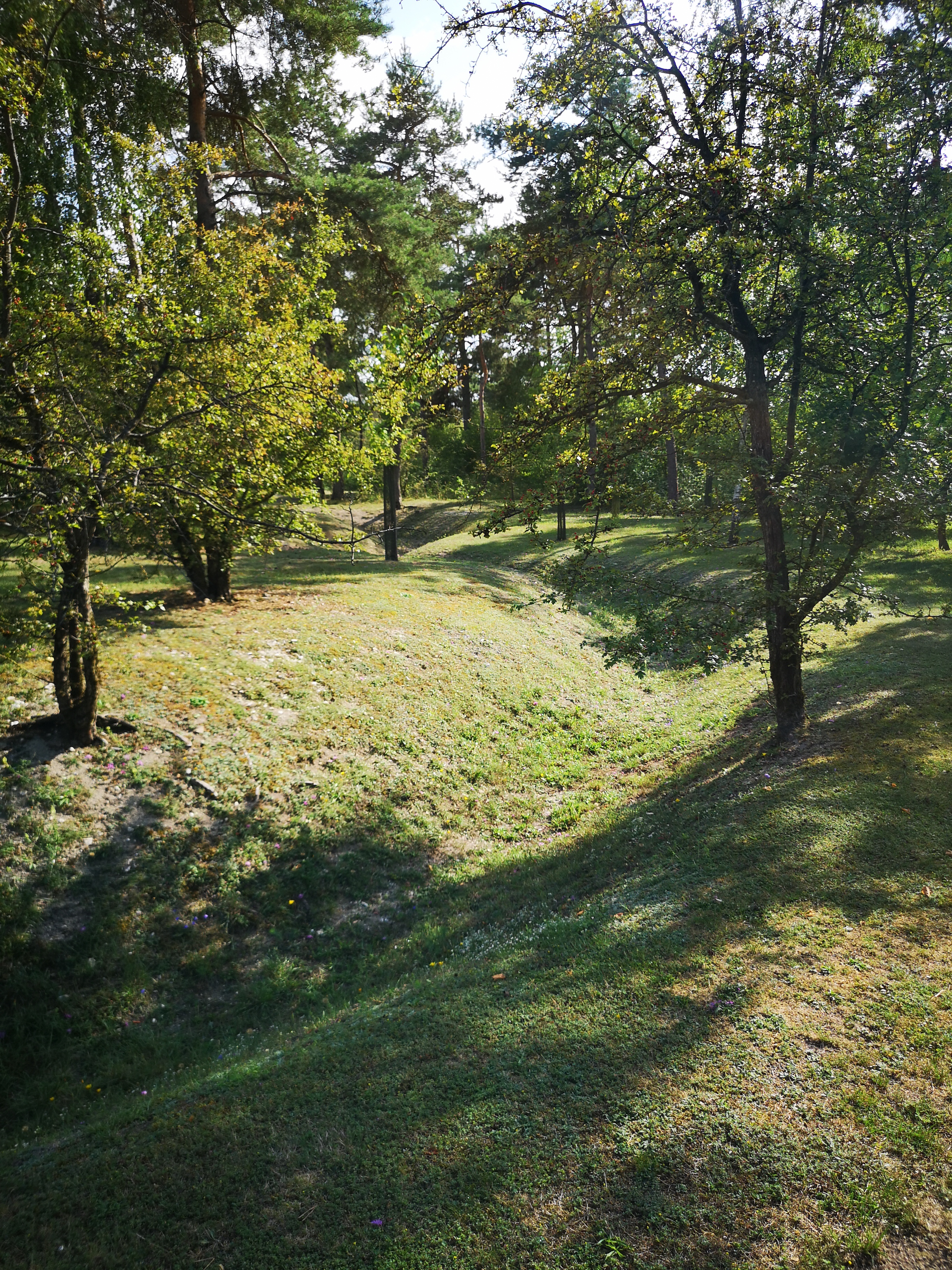 Photo n° 2 de l'avis de Laurence.o fait le 16/08/2019 à 20:21