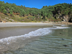 Praia de Talon'in fotoğrafı vahşi alan
