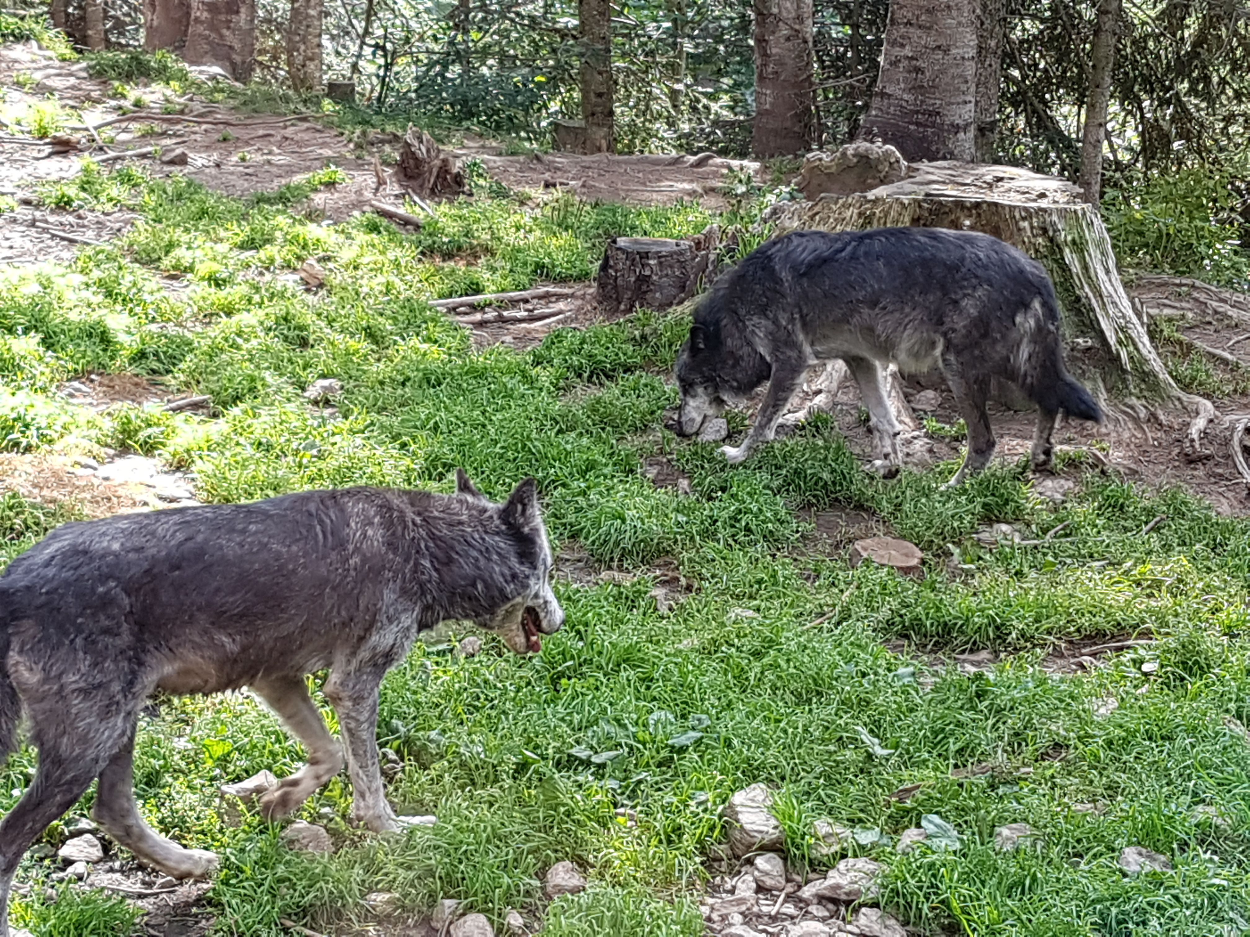 Photo n° 1 de l'avis de jennifer.a fait le 31/08/2019 à 14:48