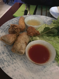 Rouleau de printemps du Restaurant thaï Moon Asia à Sélestat - n°2