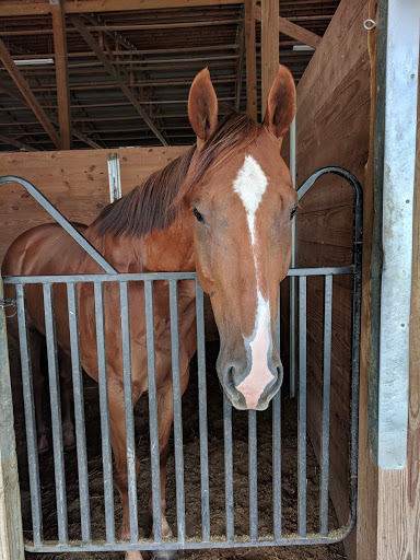 Casino «Indiana Grand Racing & Casino», reviews and photos, 4300 N Michigan Rd, Shelbyville, IN 46176, USA