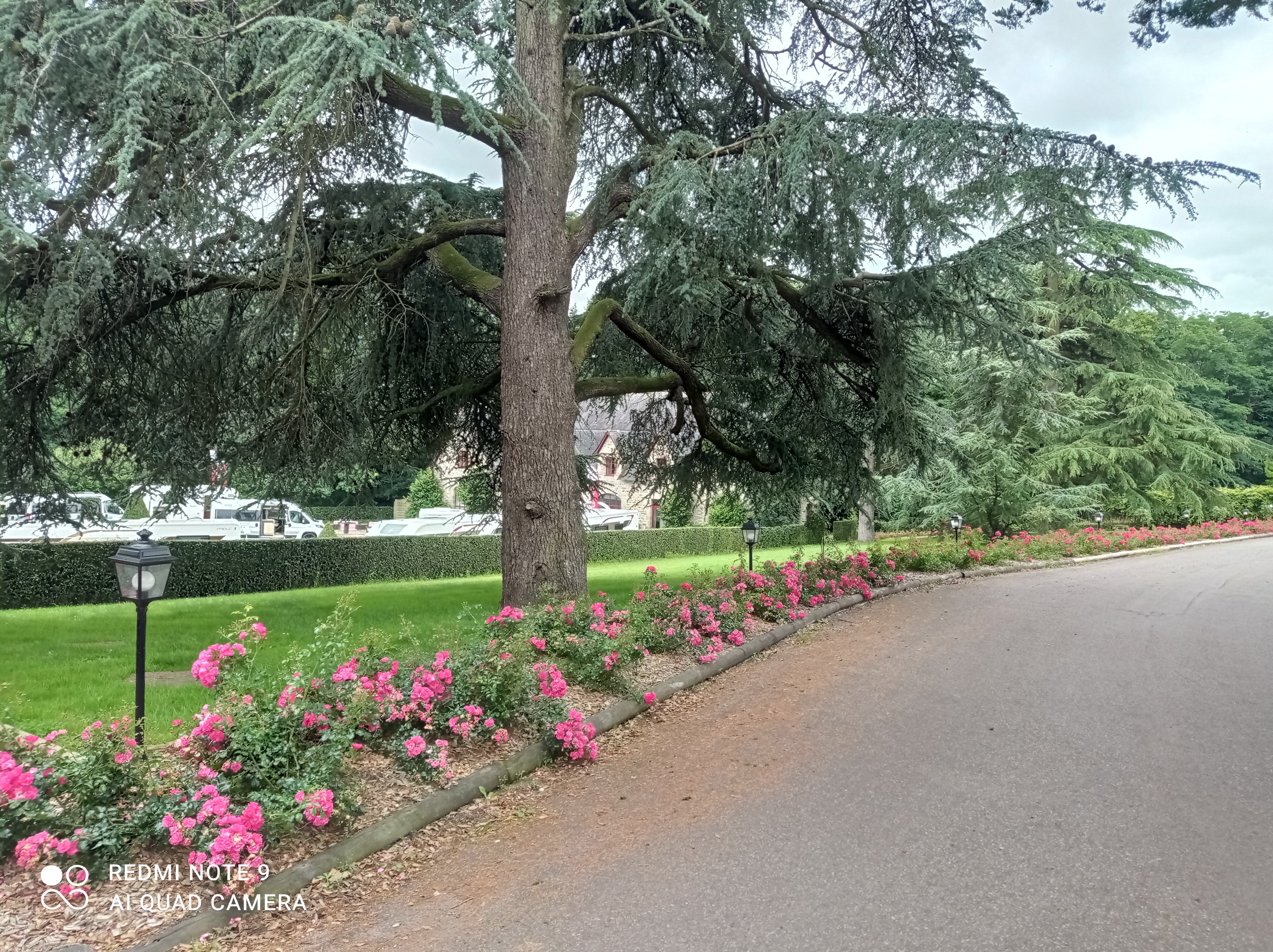 Photo n° 2 de l'avis de Françoise.i fait le 10/07/2021 à 13:22