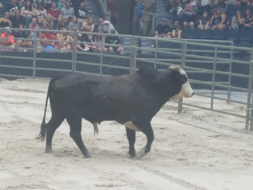 Arena «Germain Arena», reviews and photos, 11000 Everblades Parkway, Estero, FL 33928, USA