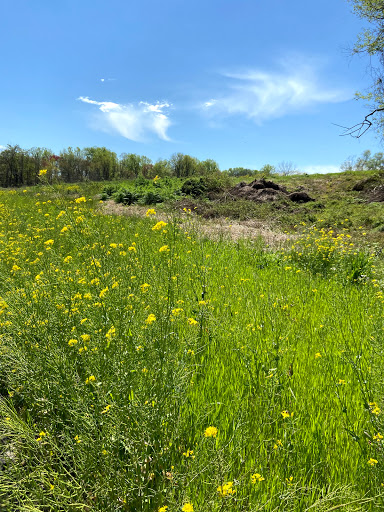 Nature Preserve «White Clay Creek State Park Nature Center», reviews and photos, 1475 Creek Rd, Newark, DE 19711, USA