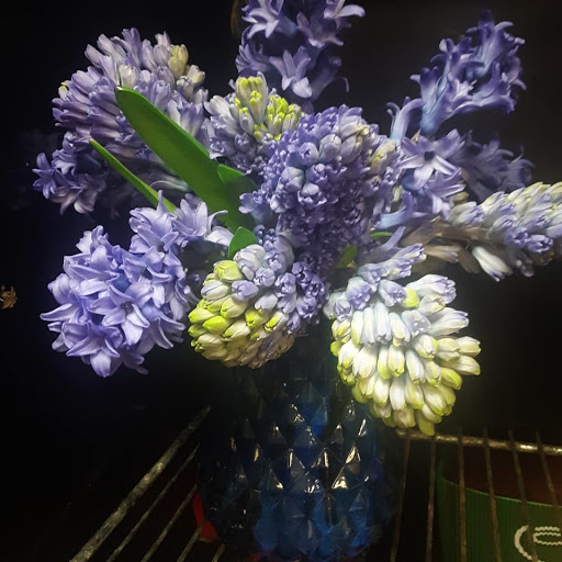 Florist «Given-Erwin Florist», reviews and photos, 328 Cambridge St, Burlington, MA 01803, USA