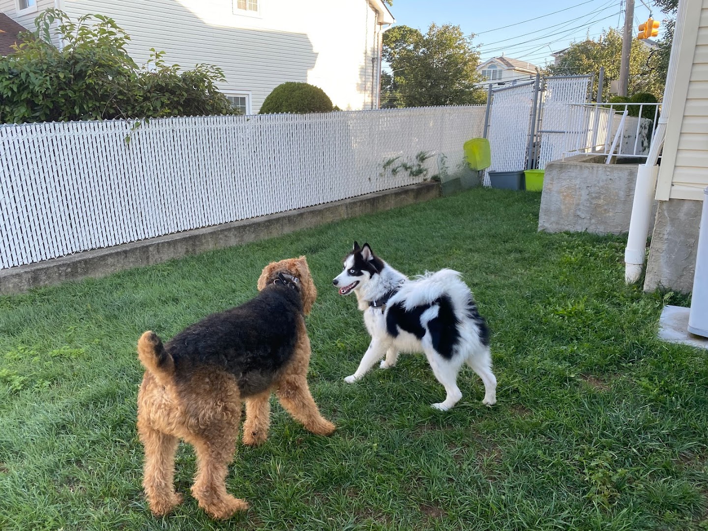 Shannon's Fluffy Friend Time!