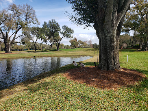 Country Club «Palma Ceia Golf & Country Club», reviews and photos, 1601 S MacDill Ave, Tampa, FL 33629, USA