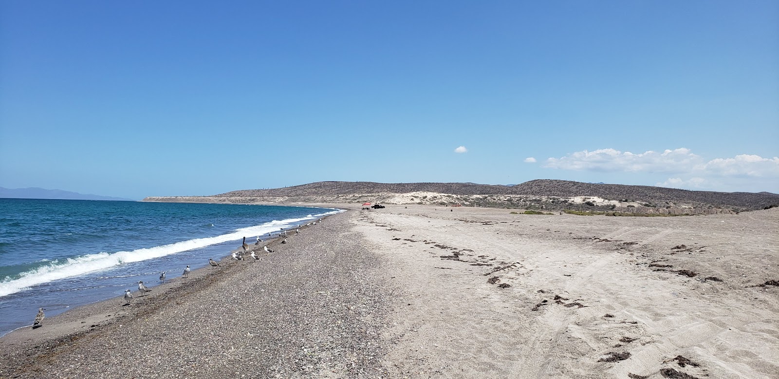 Zdjęcie Playa el Coyote z powierzchnią turkusowa czysta woda