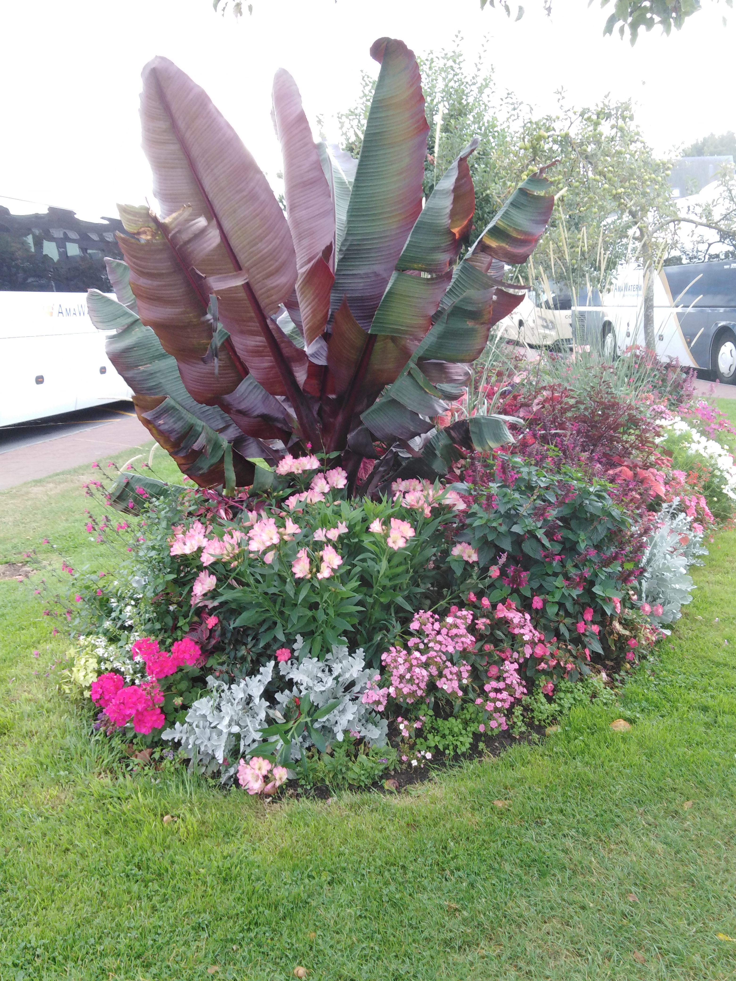Photo n° 1 de l'avis de Didier.g fait le 17/01/2021 à 17:12