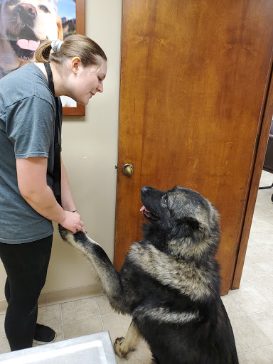 Animal Care Center image