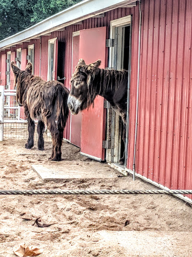 Zoo «Sedgwick County Zoo», reviews and photos, 5555 Zoo Boulevard, Wichita, KS 67212, USA