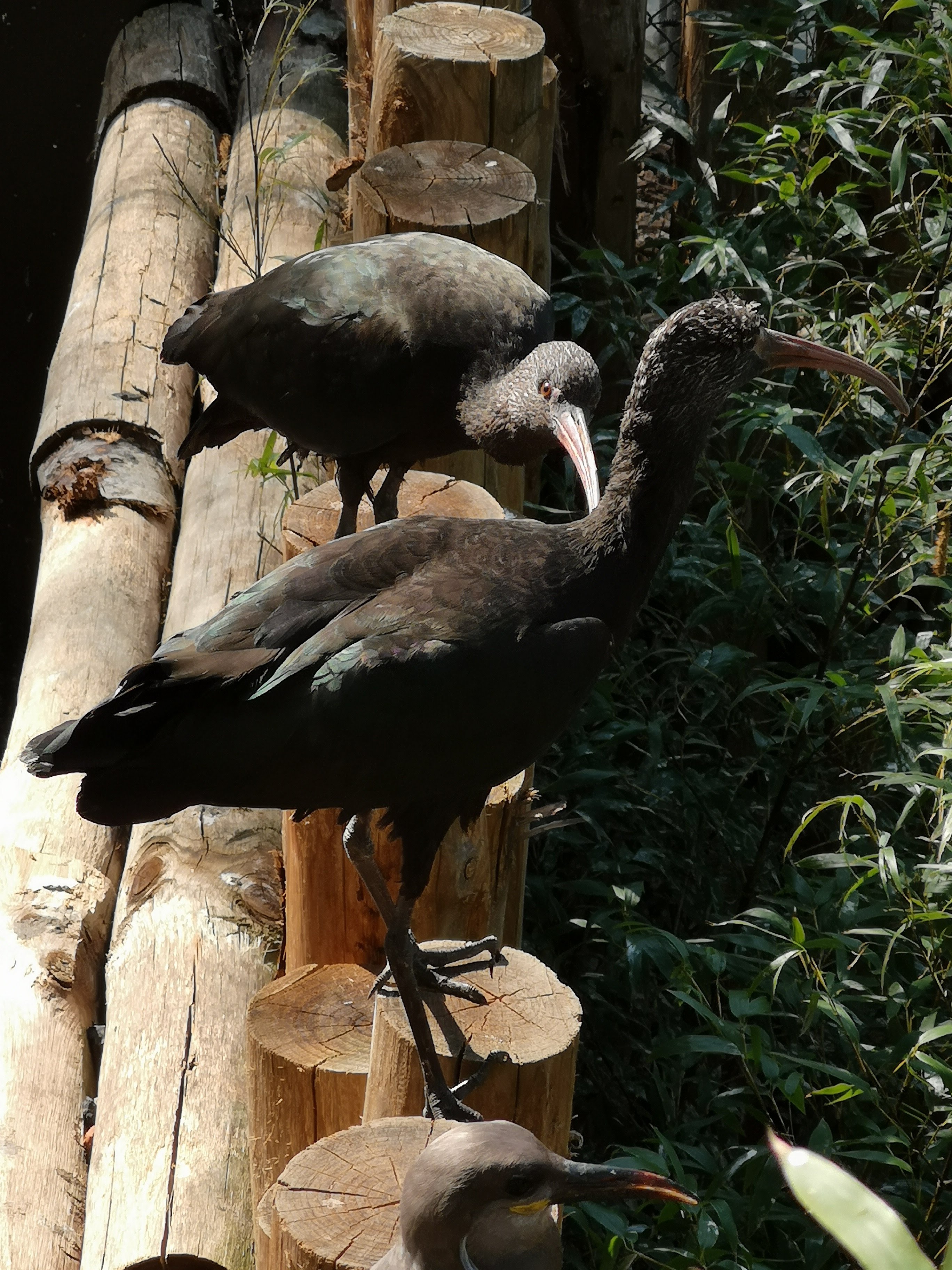 Photo n° 39 de l'avis de Bryan.r fait le 24/04/2018 à 19:19