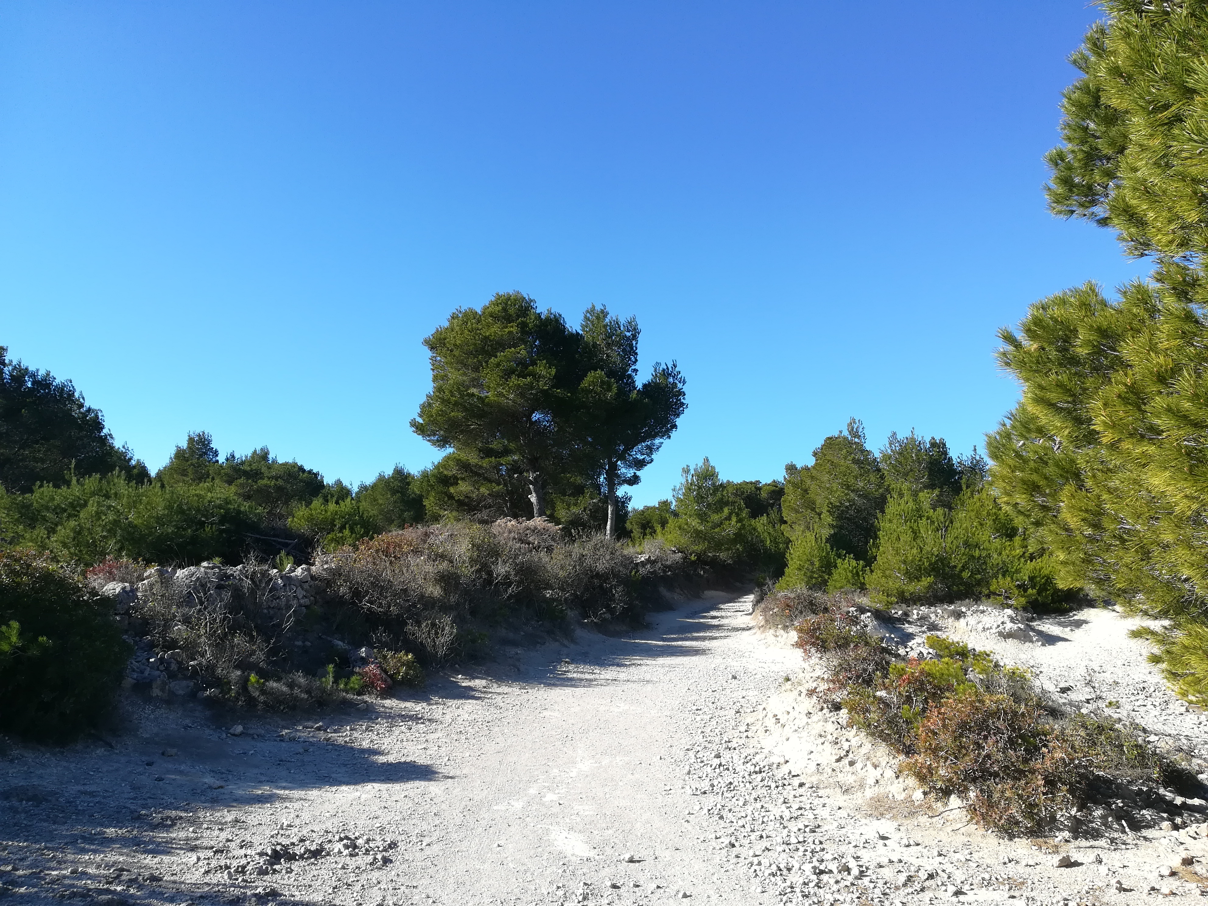 Photo n° 17 de l'avis de Sebastien.i fait le 22/01/2022 à 17:46