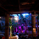 Photo n°5 de l'avis de Ilaria.1 fait le 06/09/2021 à 08:50 sur le  Safari Giro Pizza à Lazise