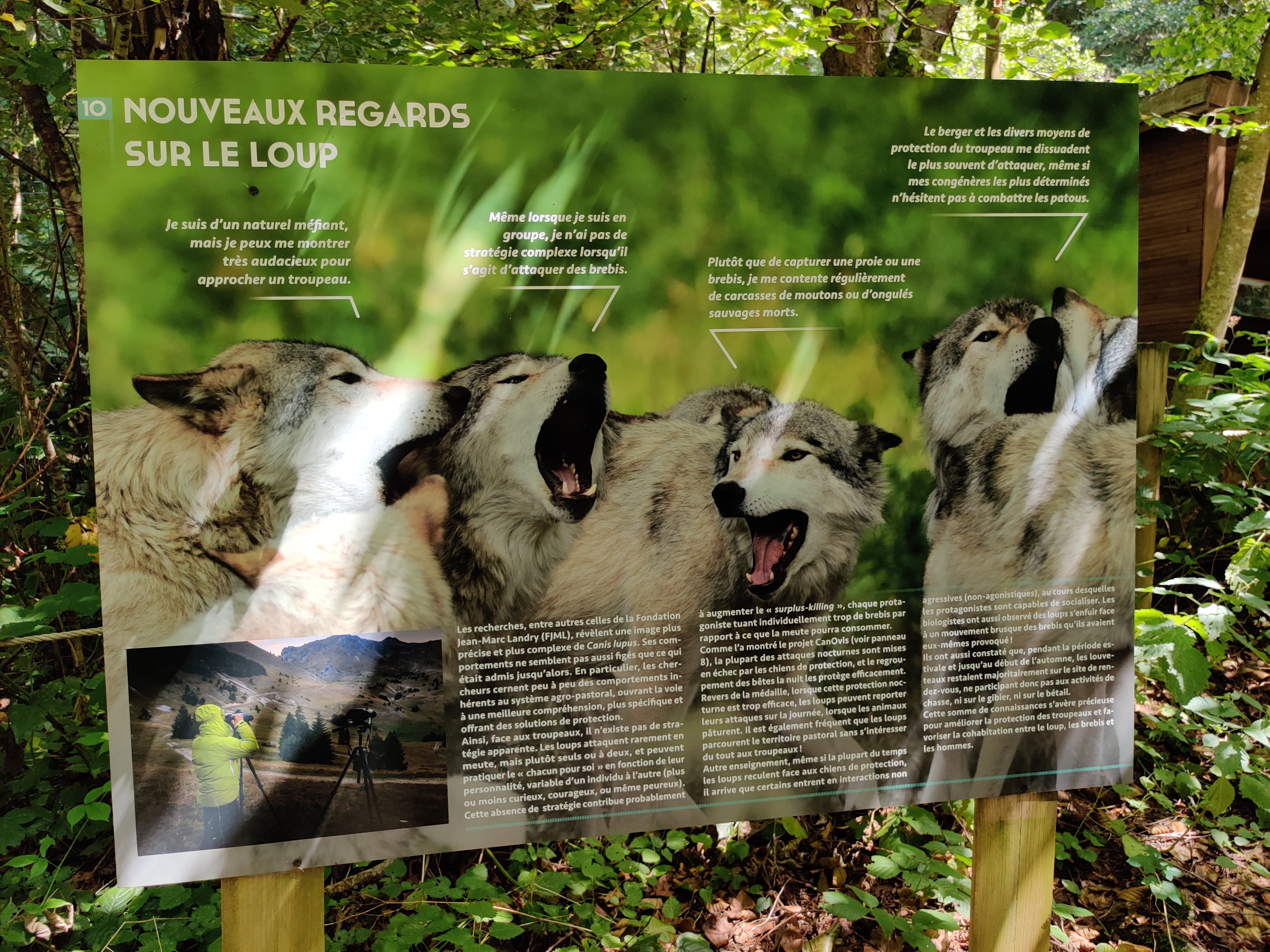 Photo n° 9 de l'avis de Julien.o fait le 14/08/2022 à 13:43