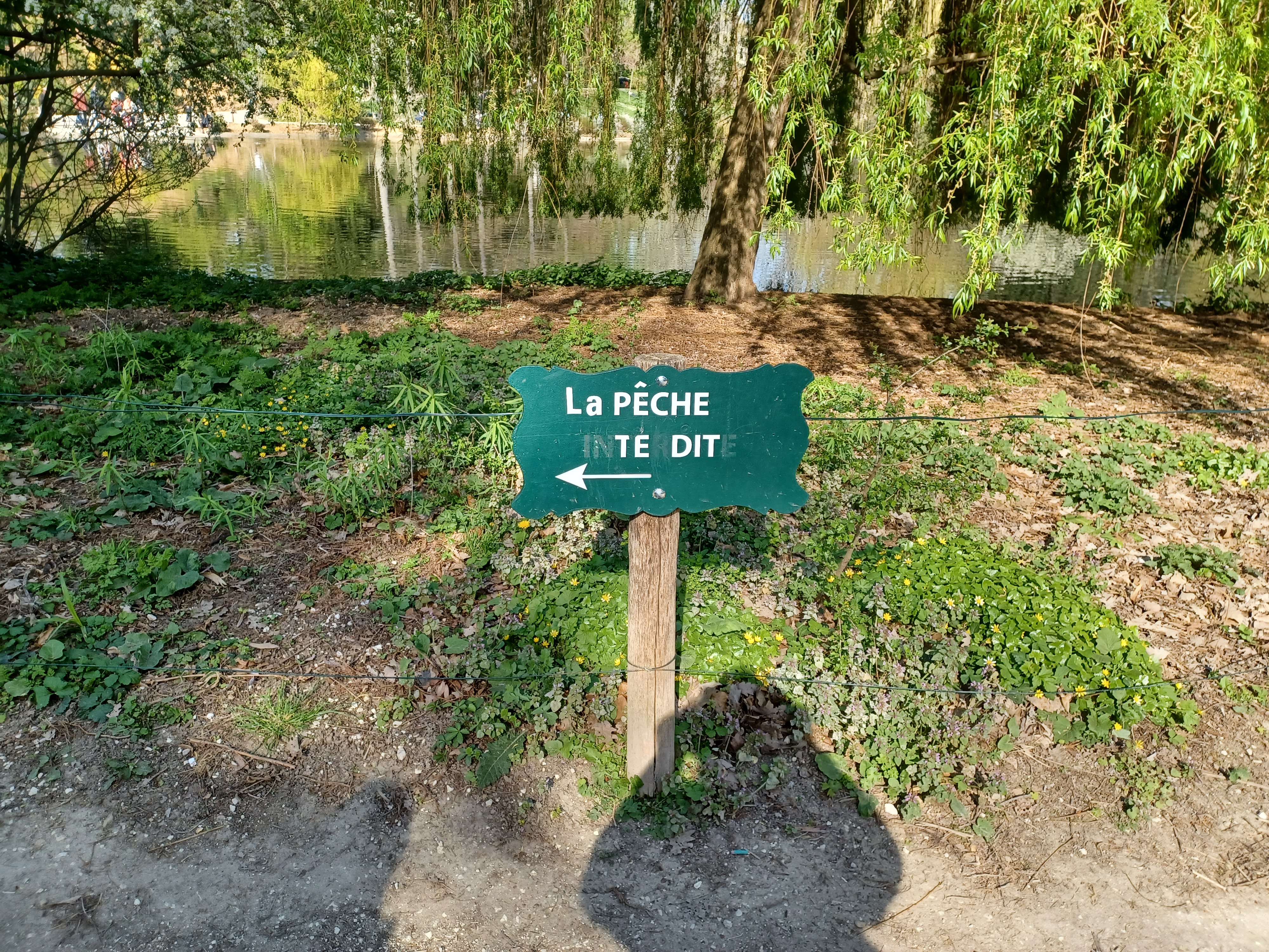 Photo n° 1 de l'avis de Roger.o fait le 16/04/2023 à 09:54