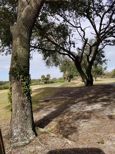 Golf Club «Plantation Golf Club», reviews and photos, 4720 Plantation Blvd, Leesburg, FL 34748, USA