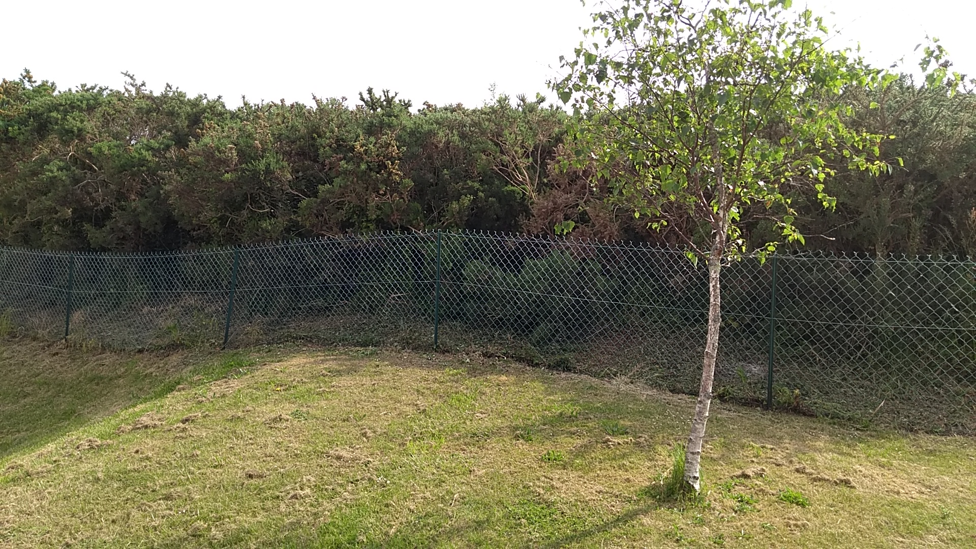 Photo n° 2 de l'avis de Lasse.e fait le 25/05/2018 à 08:14