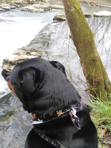 Park «Gregory Mill Park», reviews and photos, 390 Enon Springs Rd E, Smyrna, TN 37167, USA