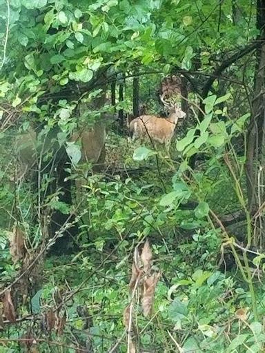 Park «Edison State Park», reviews and photos, 37 Christie St, Edison, NJ 08820, USA