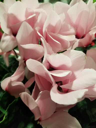 Home Improvement Store «The Home Depot», reviews and photos, 12275 Price Club Plaza, Fairfax, VA 22030, USA