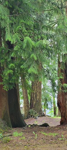 Park «Ferguson Park», reviews and photos, 1330 Ferguson Park Rd, Snohomish, WA 98290, USA