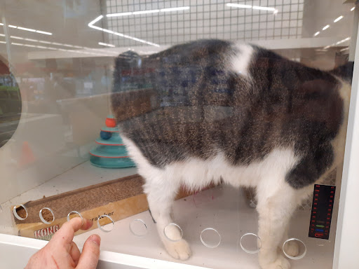 Pet Supply Store «Petco Animal Supplies», reviews and photos, 753 53rd Ave NE, Fridley, MN 55421, USA