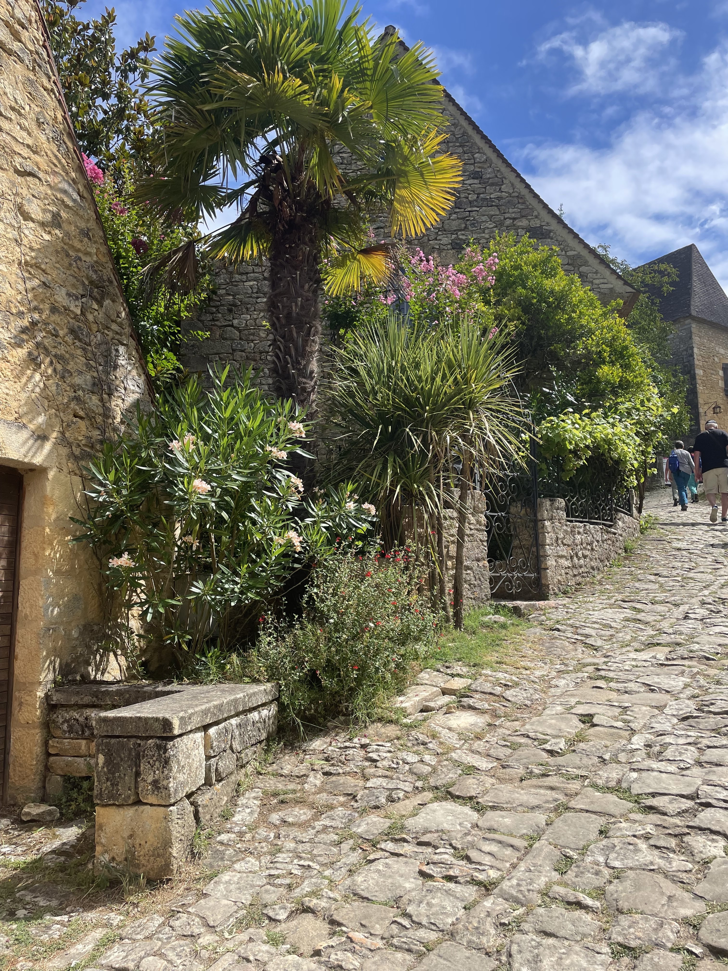Photo n° 1 de l'avis de Muriel. fait le 28/07/2023 à 12:59