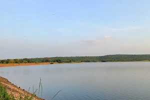 Aamakoni Dam image