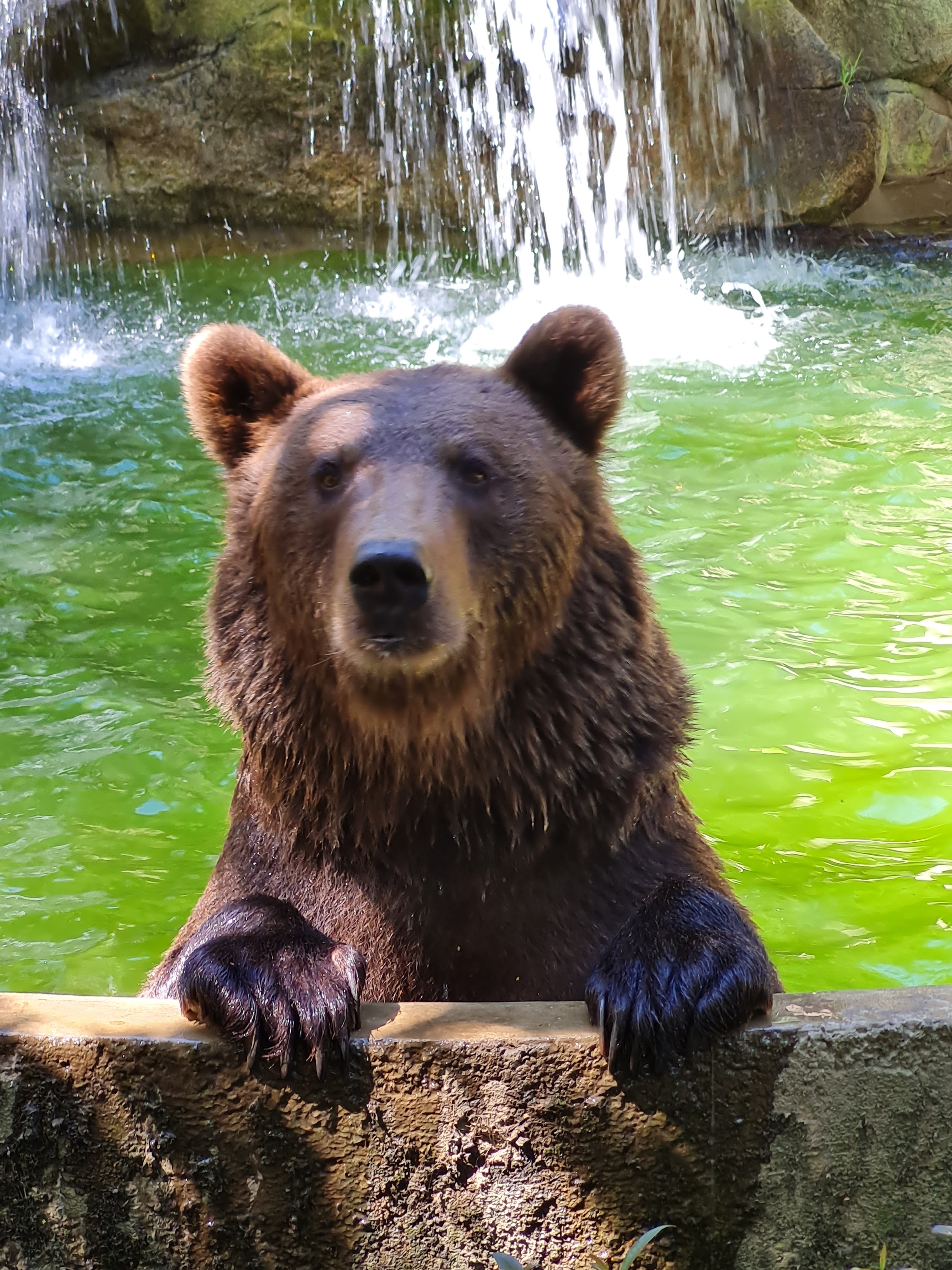 Photo n° 8 de l'avis de Marjo.e fait le 29/08/2021 à 18:20