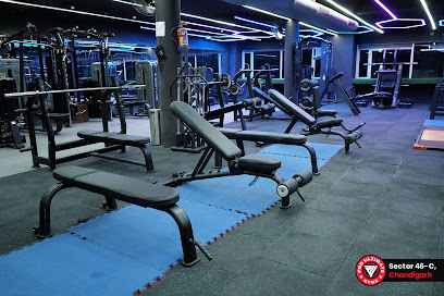 Pro Ultimate Gyms | Best Gym in Chandigarh - SCO 65,66,67,68 , TOP FLOOR, Sector 46C, Chandigarh, 160047, India