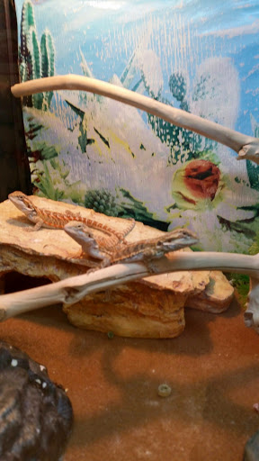 Pet Supply Store «PetSmart», reviews and photos, 5 Main St, East Hartford, CT 06118, USA