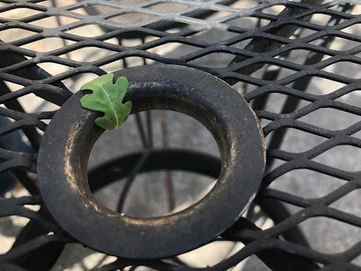 Espresso Bar «Little Amps Coffee Roasters», reviews and photos, 1836 Green St, Harrisburg, PA 17102, USA