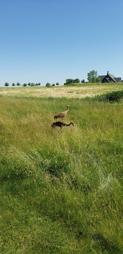 Golf Course «Blackstone Golf Club», reviews and photos, 9700 St Andrews Dr, Marengo, IL 60152, USA