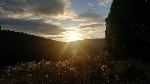 Nature Preserve «Boyd Big Tree Preserve Conservation Area», reviews and photos, Fishing Creek Valley Rd, Harrisburg, PA 17112, USA