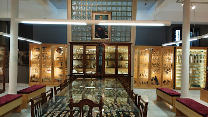 Museo de Ciencias del Instituto Padre Suárez de Granada