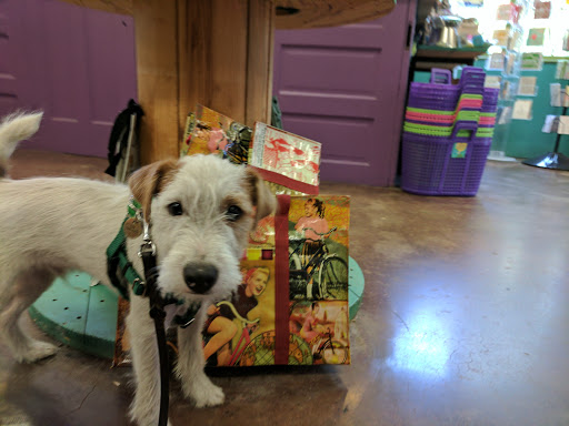 Gift Shop «Catching Fireflies», reviews and photos, 419 Detroit St, Ann Arbor, MI 48104, USA