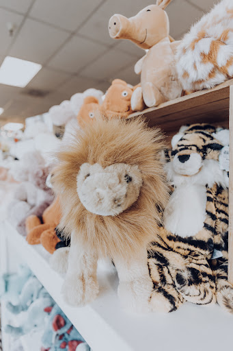 Toy Store «Mudpuddles Toys & Books», reviews and photos, 16420 SW Langer Dr, Sherwood, OR 97140, USA