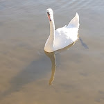 Photo n°2 de l'avis de E. fait le 06/08/2022 à 20:09 sur le  Strandhaus Grashof Fam. Haubner à Allersberg