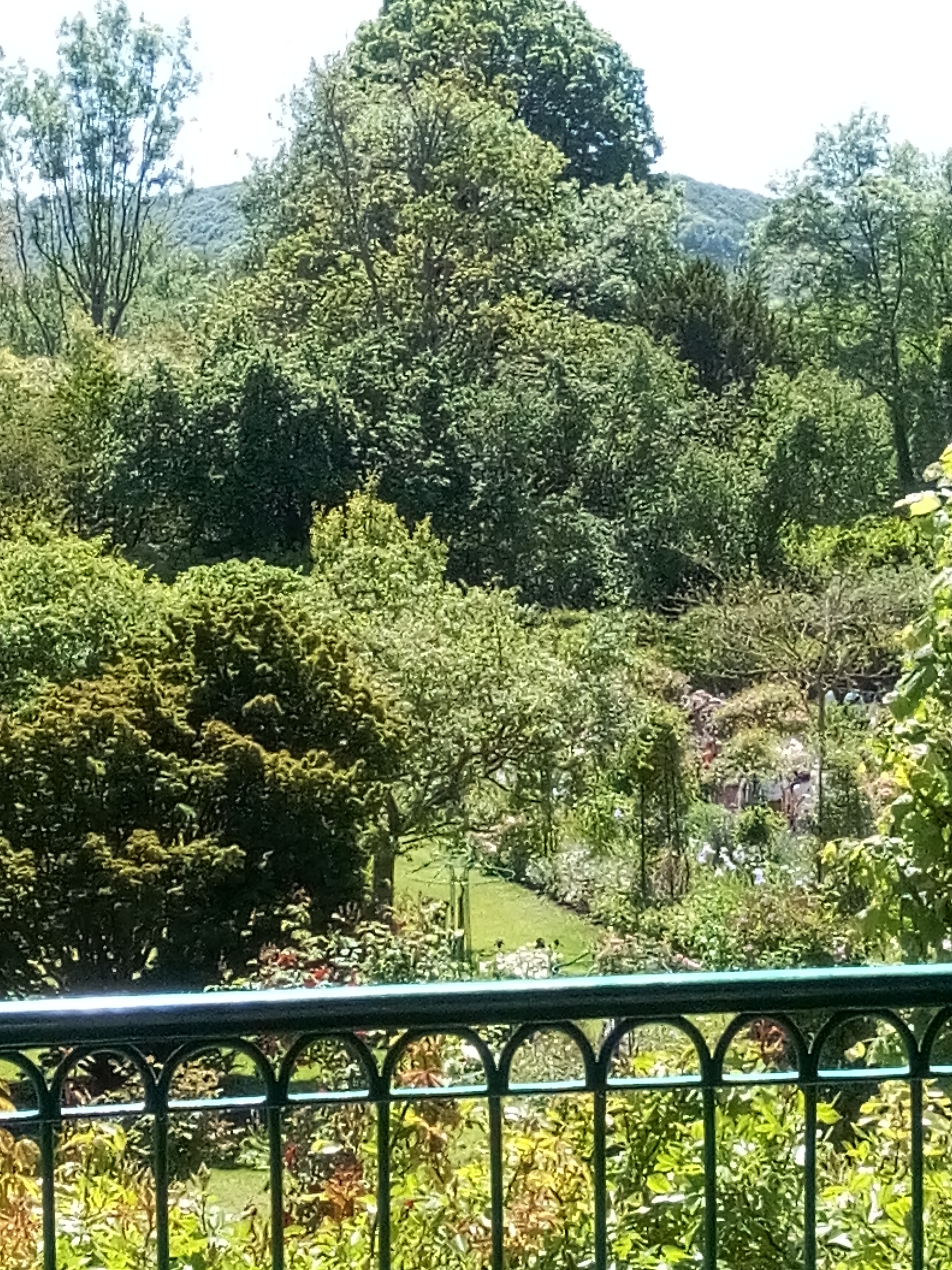 Photo n° 13 de l'avis de M. fait le 02/06/2019 à 08:14