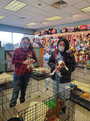 Pet Supply Store «Pet Ranch», reviews and photos, 3823 E 120th Ave, Denver, CO 80233, USA