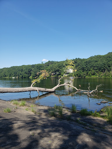 Tourist Attraction «Dinosaur Footprints», reviews and photos, US-5, Holyoke, MA 01040, USA