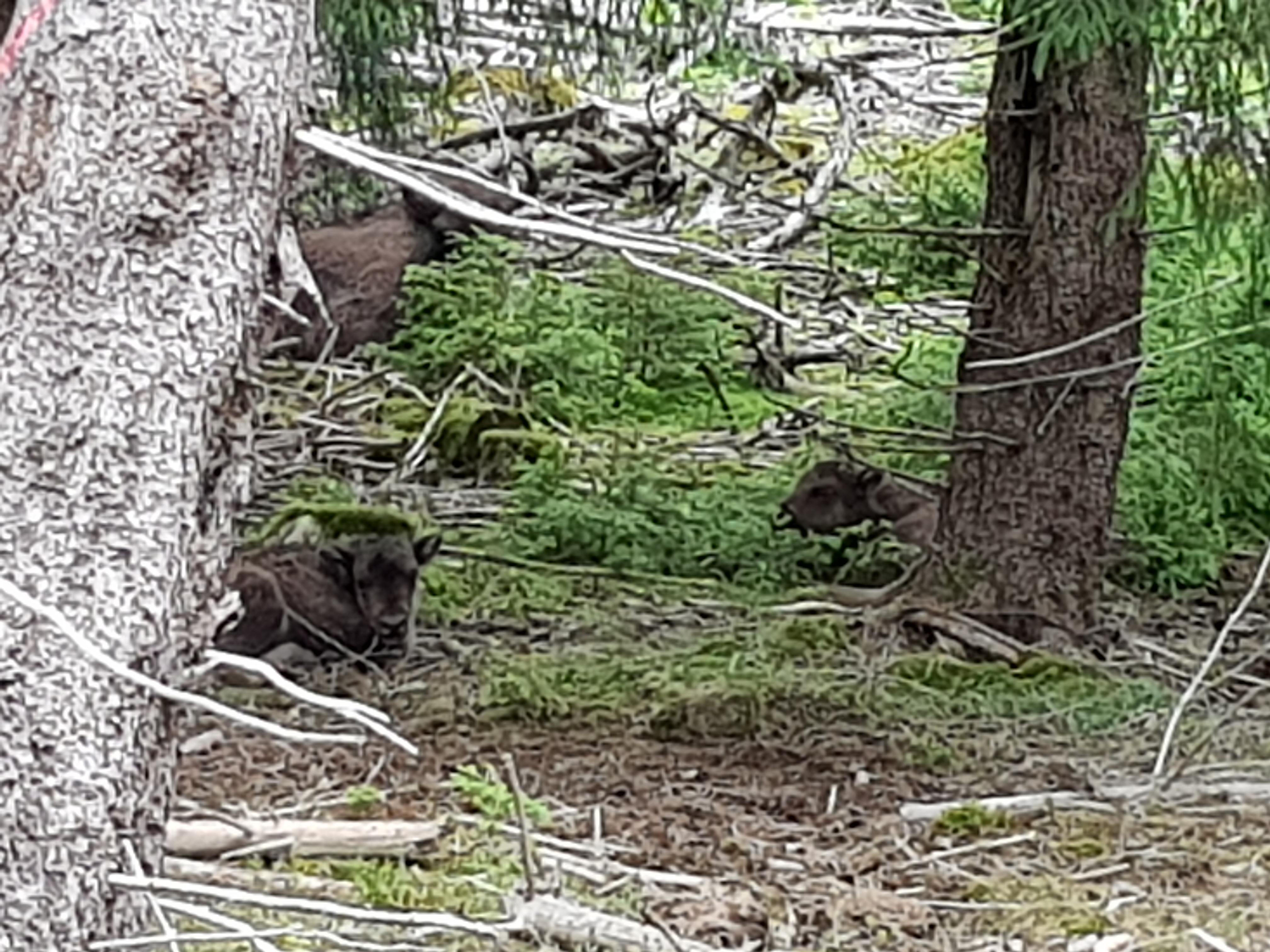 Photo n° 2 de l'avis de Labelette.u fait le 05/06/2022 à 15:54