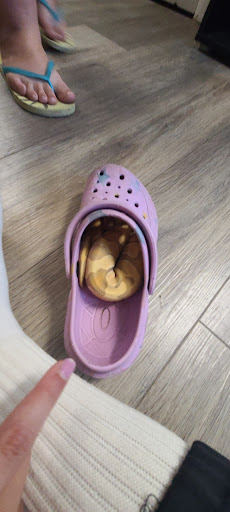 Pet Store «Pet Haven Pet Shop», reviews and photos, 19 US-6, Valparaiso, IN 46385, USA