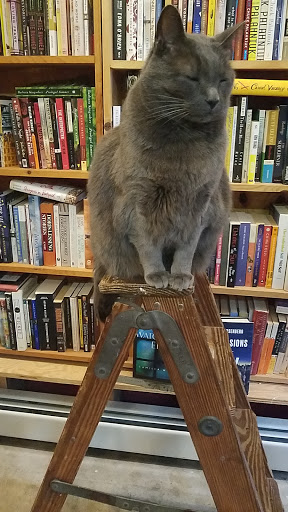 Book Store «Rust Belt Books», reviews and photos, 415 Grant St, Buffalo, NY 14213, USA