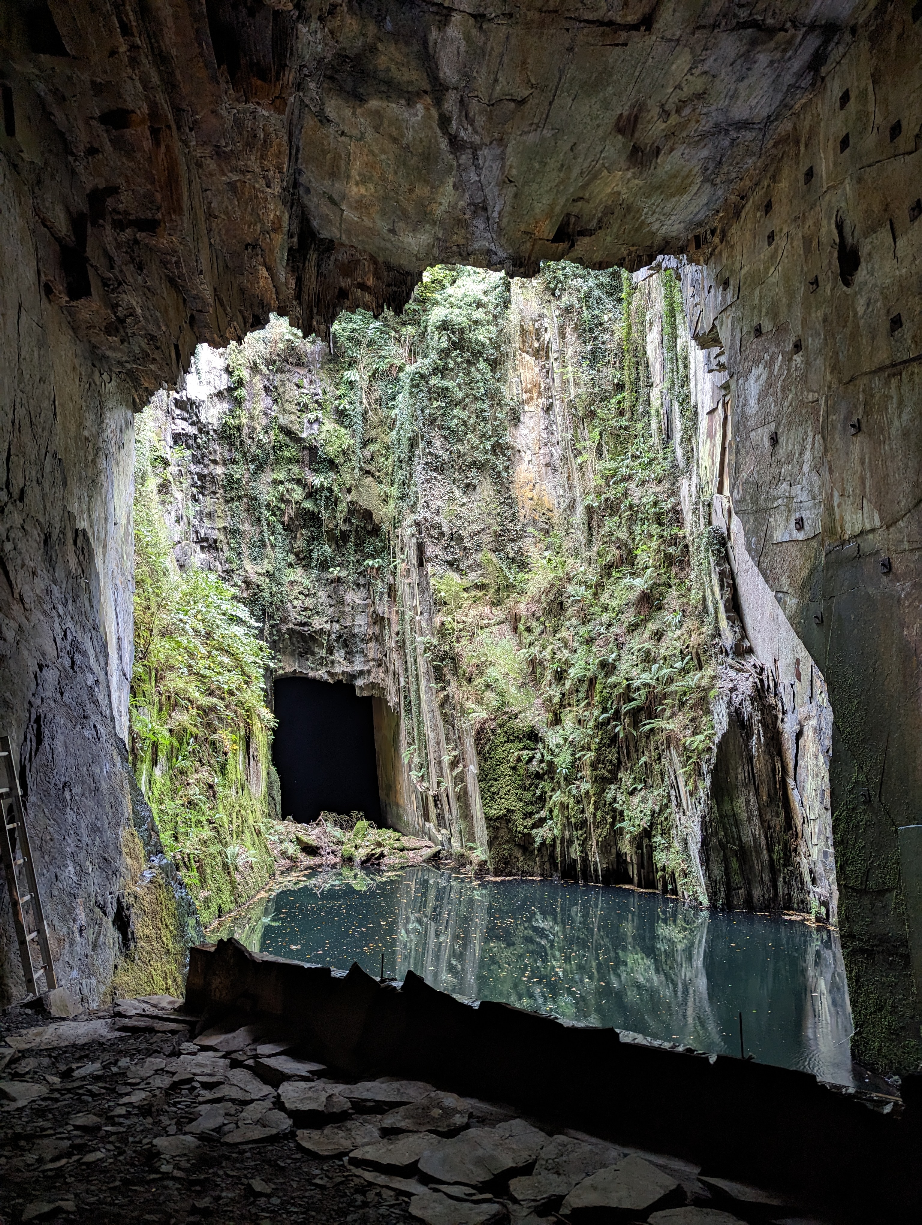Photo n° 2 de l'avis de mouqueta. fait le 14/10/2023 à 14:29
