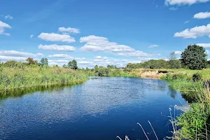 Rzeka Nurzec - Starorzecze image
