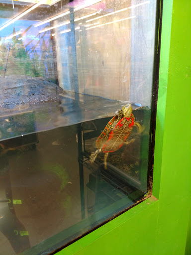 Pet Store «B & B Pet Stop, Inc.», reviews and photos, 5035 Cottage Hill Rd, Mobile, AL 36609, USA