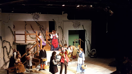 Performing Arts Theater «Theatre of Western Springs», reviews and photos, 4384 Hampton Ave, Western Springs, IL 60558, USA